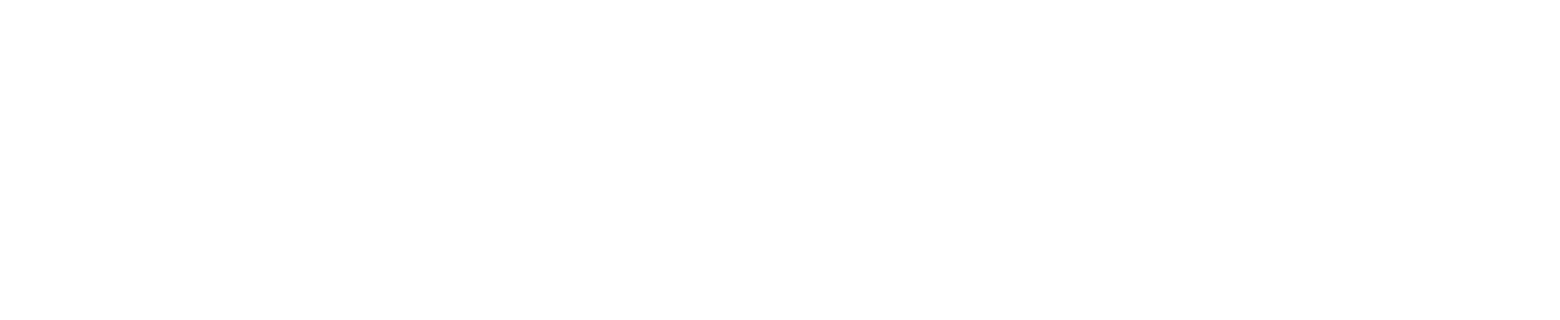 LogicomUSA_logo_white_web